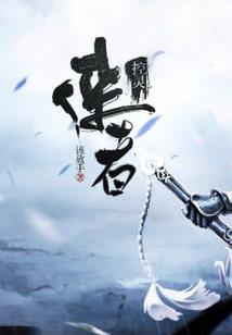 税务师比会计师难