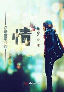 最新会计招