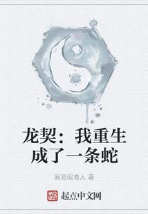 cpa科目分配会计
