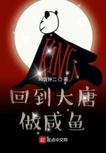 中级会计的产权比率
