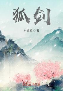 简简单单的会计师