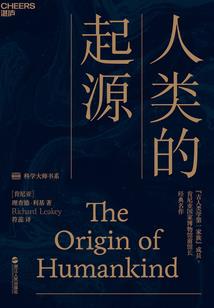 会计师在银行的工资