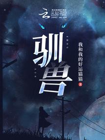 河南初级会计大纲
