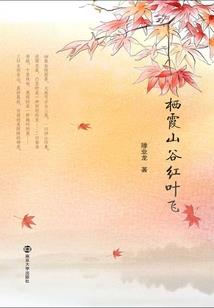 中级会计师有考税法吗