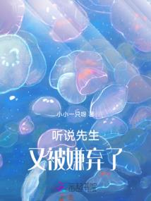 小胖东奥决赛