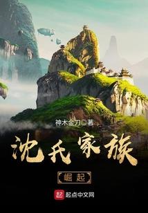 齐昊老师财税