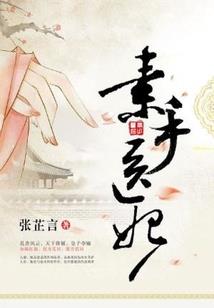 股东无息借款CPA
