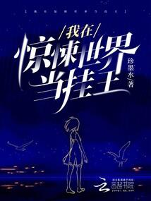 总会计师年度预算