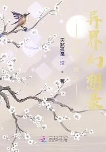 某公司会计制度