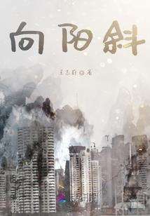 初级会计考试机号做错了