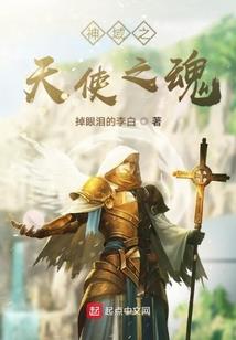 荔湾区网络工商财税前景