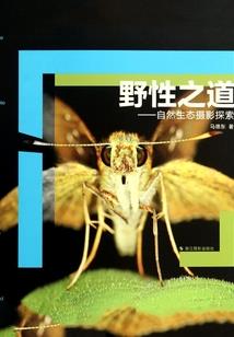 江苏省中级会计通过率