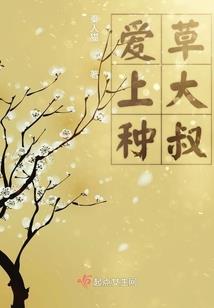 会计学专业研究方向