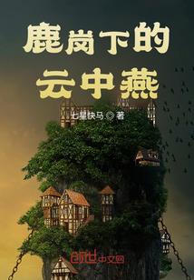 会计杠杆的现实应用