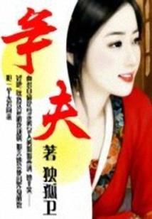 这就是会计师txt