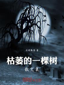中级会计2923