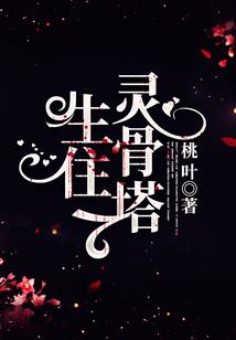 福建厦门财税