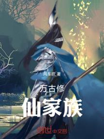 注册会计师战略几章