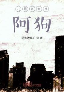 初级会计如何查真假