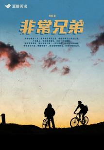 于洪区会计代账收费
