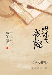 总账会计ppt总结