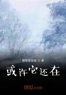吉丁财税招人