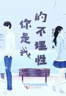 京东白条会计分录