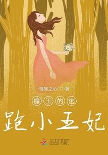 高级会计师考试谁组织的