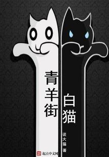 初级会计半天考完