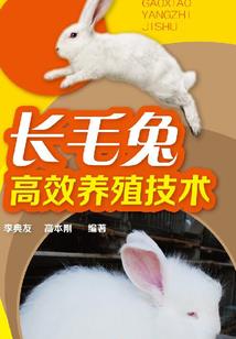 高途中级会计讲的好吗