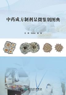财税人电影