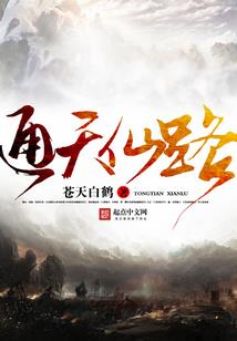 高级会计师王媚简介