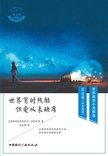 注册会计师存货方案模板