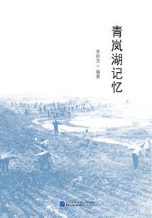 石家庄市裕华区财政收入