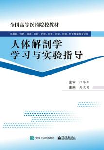 初级会计考试如何备考的