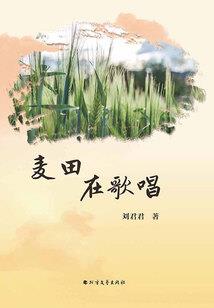 税务会计师助理