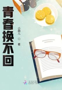 新疆财税筹划流程