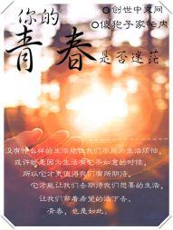 西藏财政成就