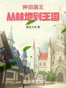 财政内部性