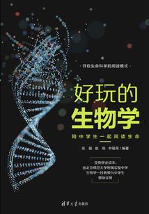 马东锡vs帕奎奥