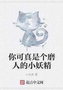 快合财税特点