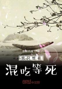 个人注会cpa税法