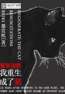 中级会计备考买哪家课程