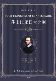 鹅卵石会计分录