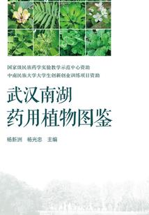 中级会计报名文案高级