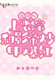 助理会计师八档
