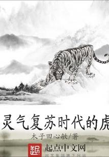分厂会计管理标准作业