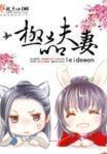 初级会计可以学什么
