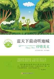 中级会计实务存货问题