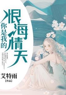 云南省财政厅沈家建